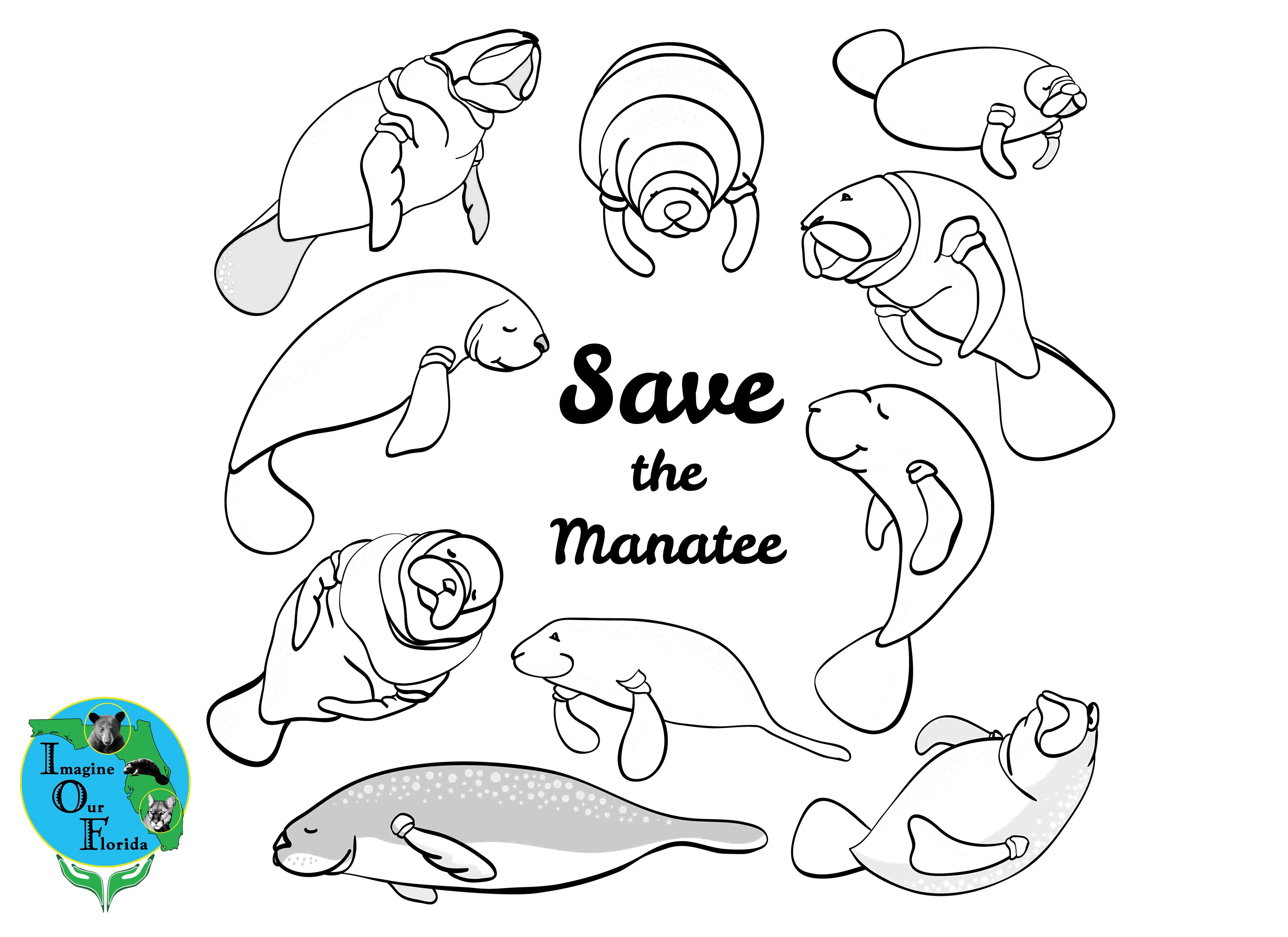 manatee coloring pages