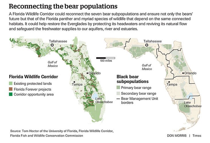 Florida Black Bear Corridors Map Imagine Our Florida Inc