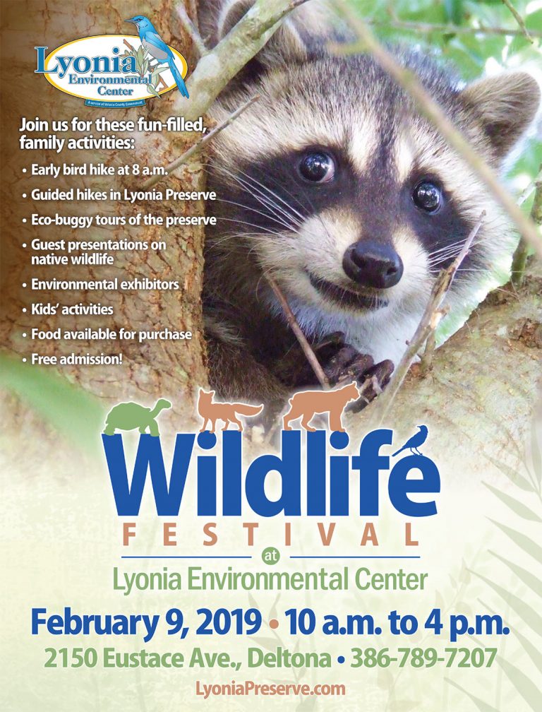 Wildlife Festival at Lyonia Environmental Center Imagine Our Florida, Inc