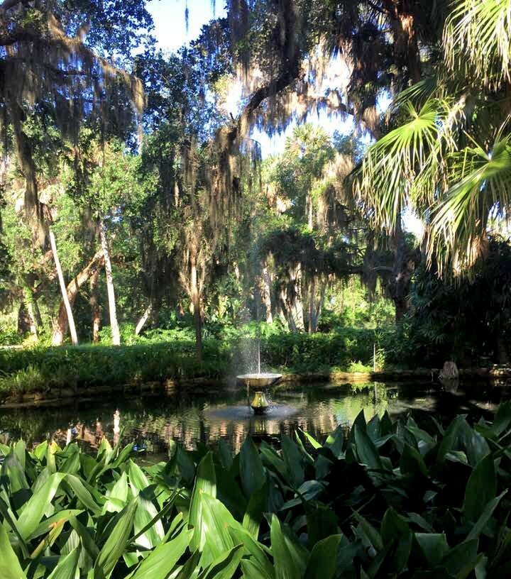 Washington Oaks Gardens State Park Imagine Our Florida Inc
