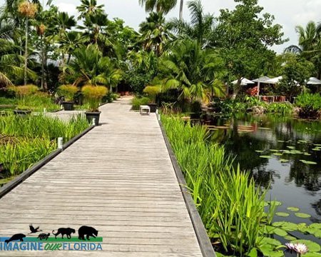 Naples Botanical Gardens Imagine Our Florida Inc