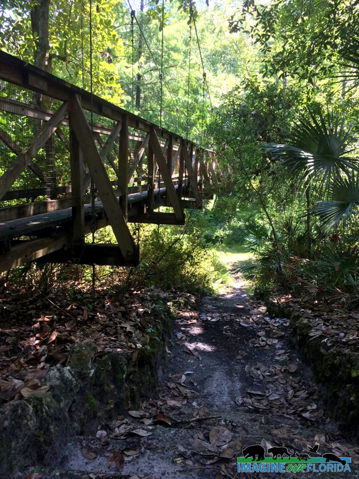 Escape to a Florida Oasis: Ravine Gardens State Park