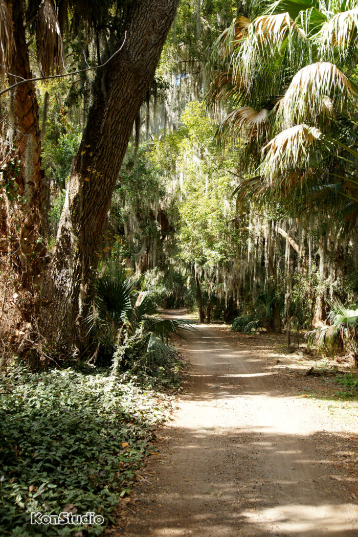 Trimble Park – Imagine Our Florida, Inc