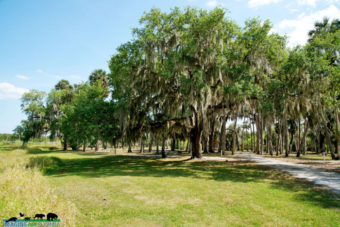 Mullet Lake Park – Imagine Our Florida, Inc