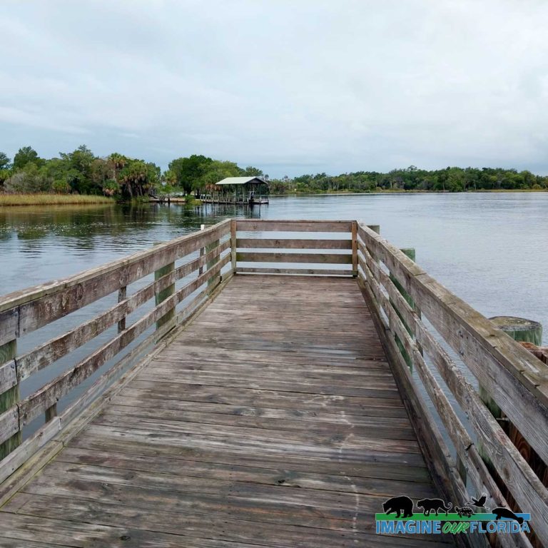 Fort Island Trail Park Imagine Our Florida Inc