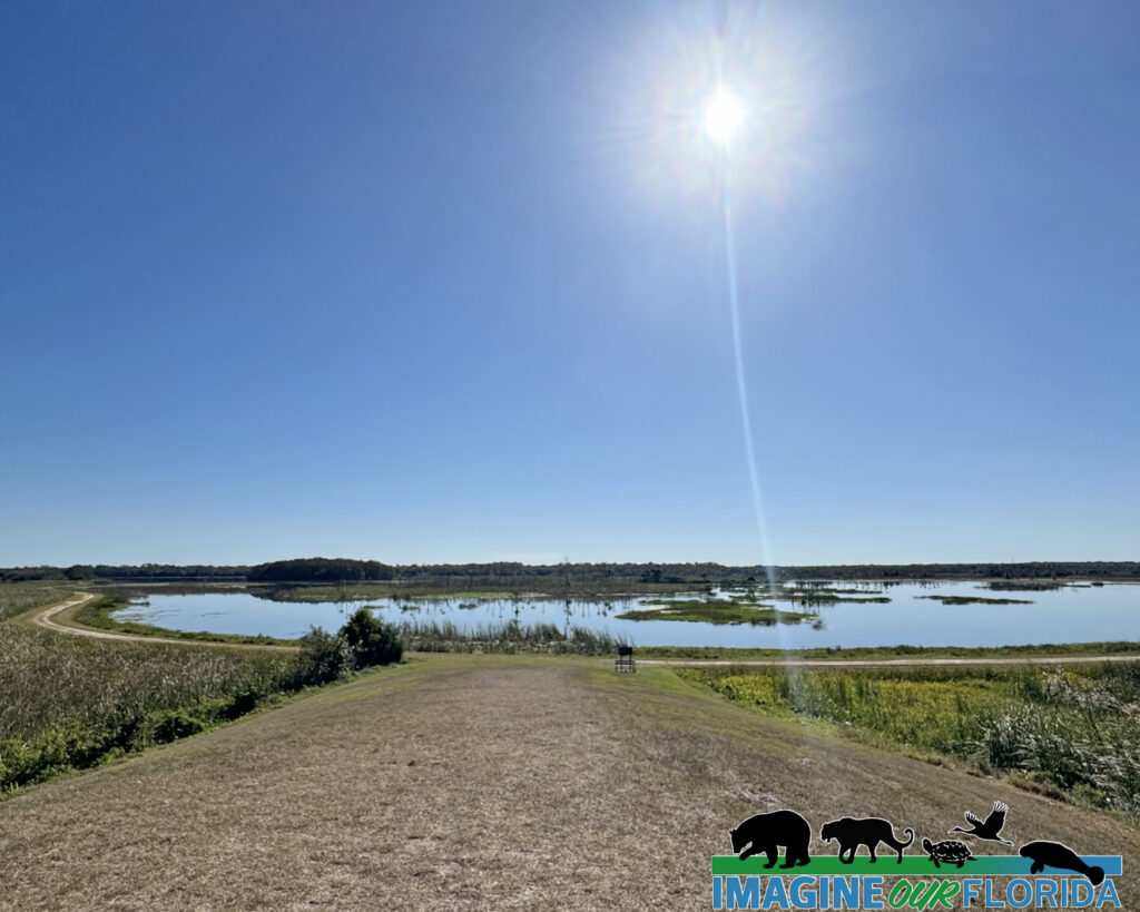 Wetlands - Definition and Description